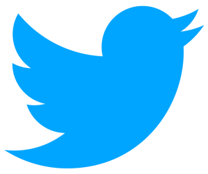 logo-Twitter-300x