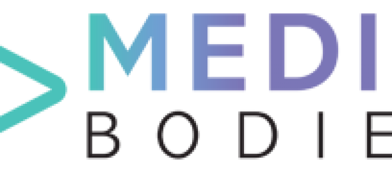 Media Bodies