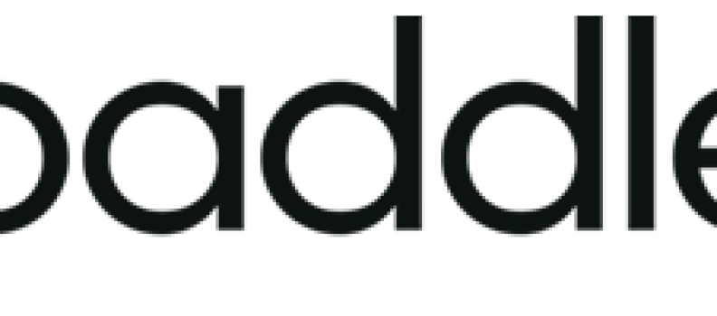 Paddle