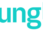 logo-Vungle-2019-300x