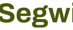 logo-Segwise-300x
